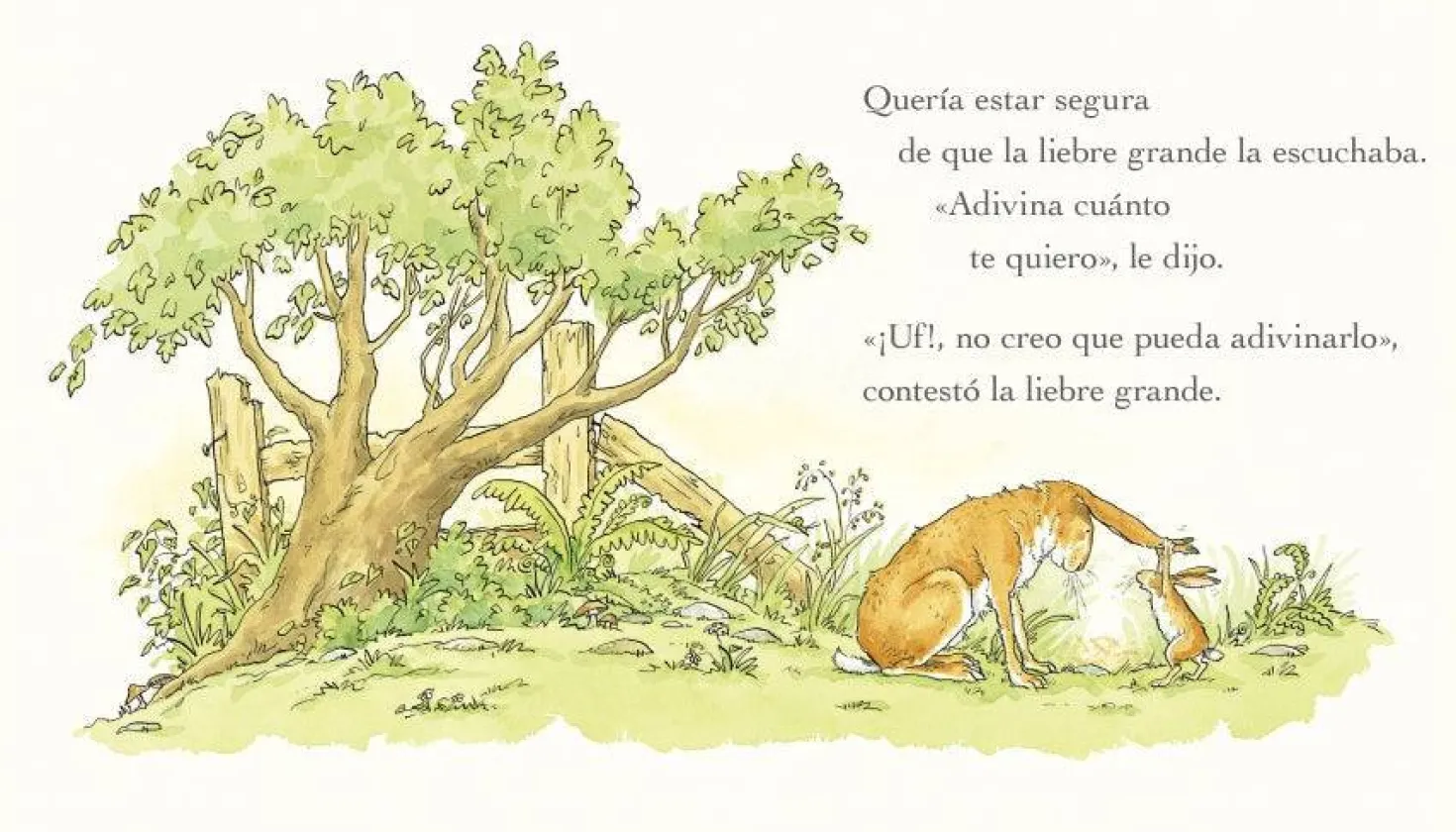 Adivina Cuánto Te Quiero