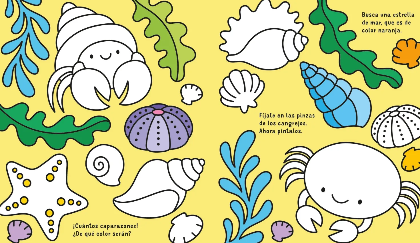 Aguacadabra En el Mar · Usborne