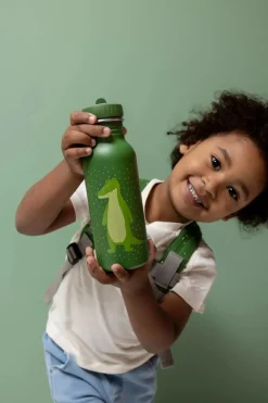 Botella Acero Mr. Alligator 500ml · Trixie