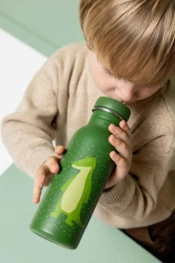 Botella Acero Mr. Alligator 500ml · Trixie