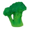 Brucy the Broccoli