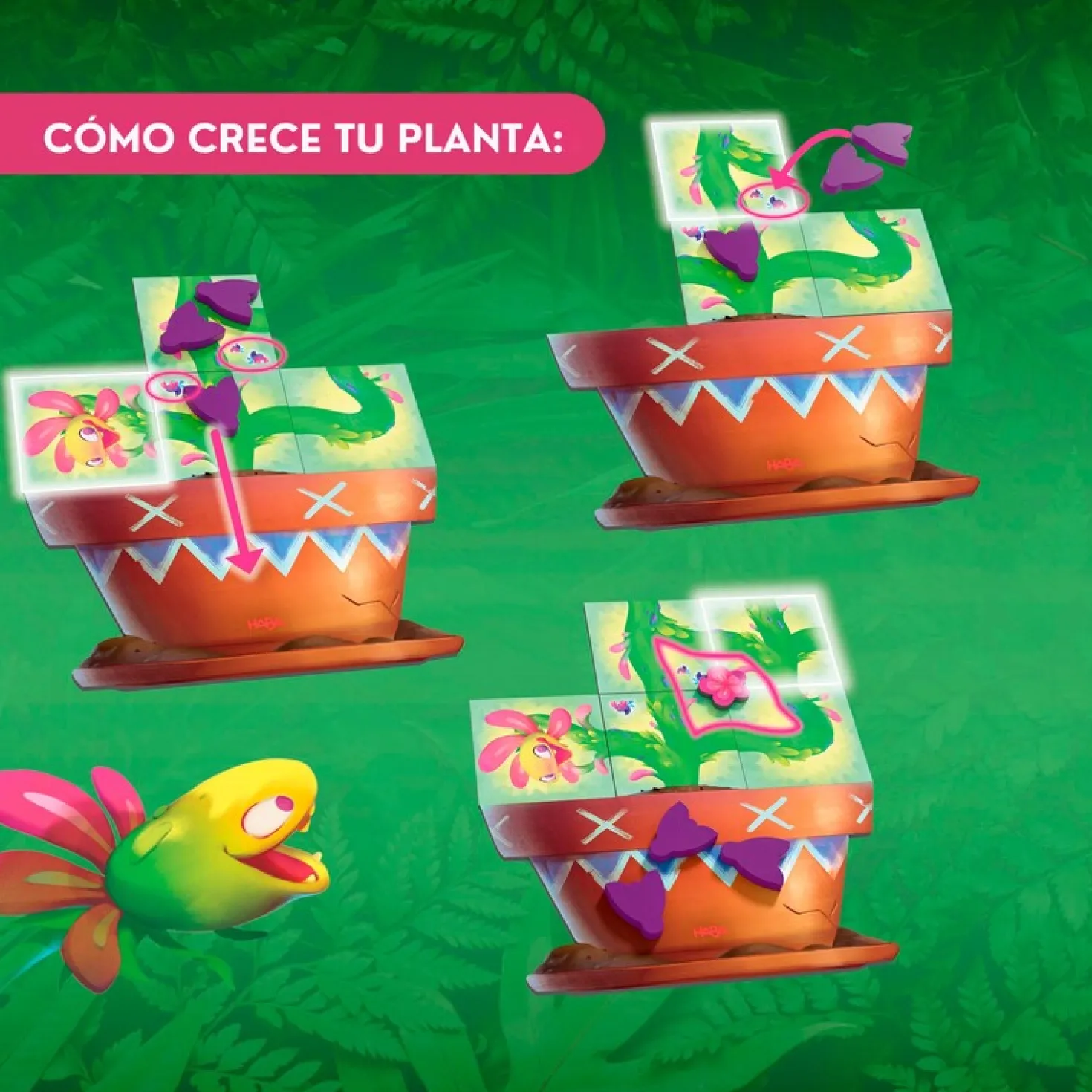 Carni Flora · HABA