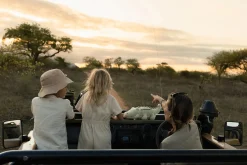 Cocodrilo peluche Safari Friends · Little Dutch