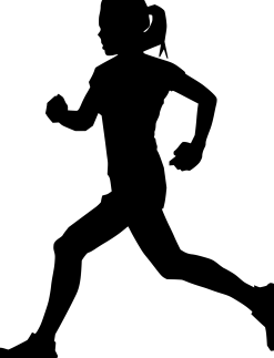 Cuaderno Espiral Icon