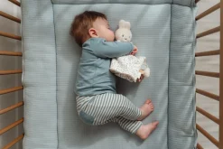 Doudou Miffy Lucky Leaves · Little Dutch