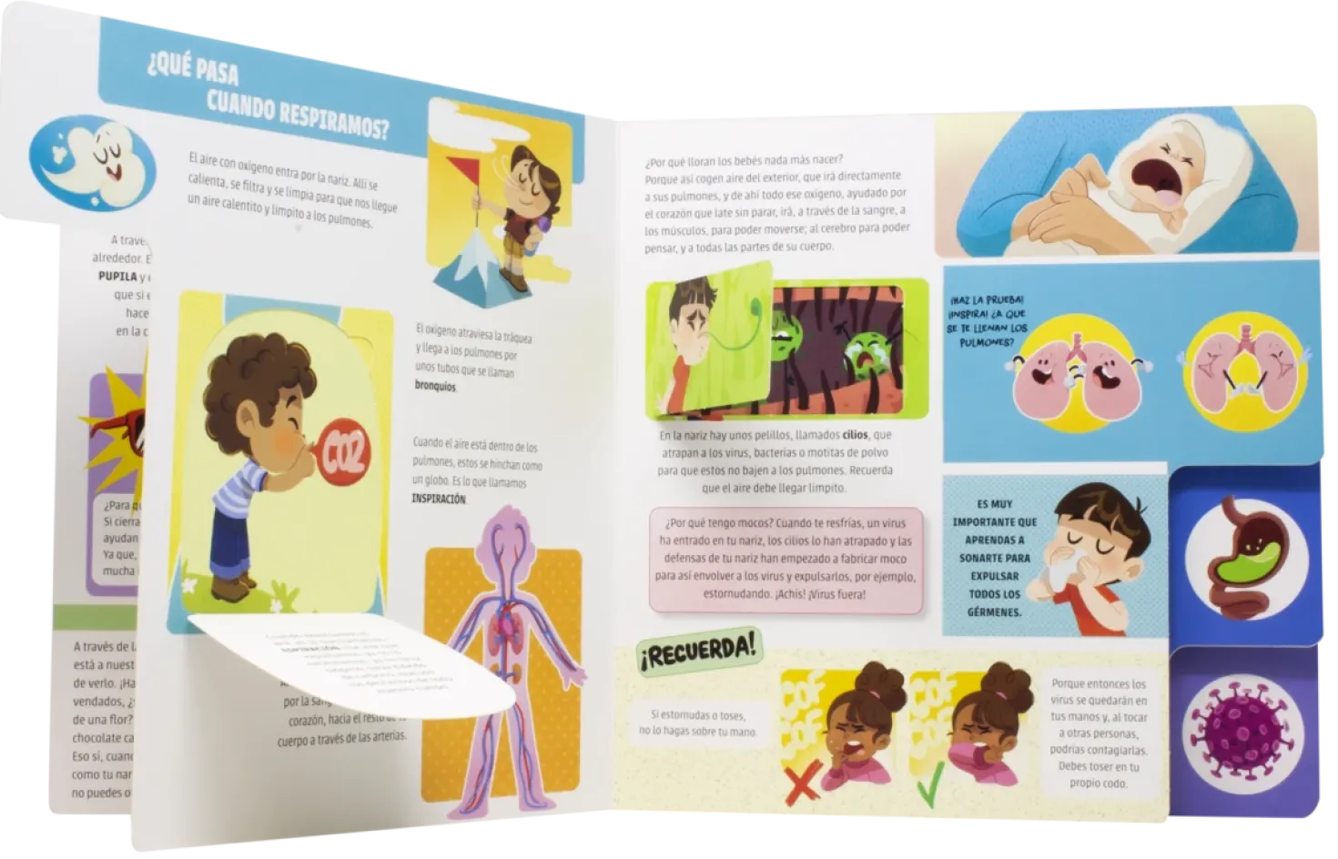 El gran libro del cuerpo humano