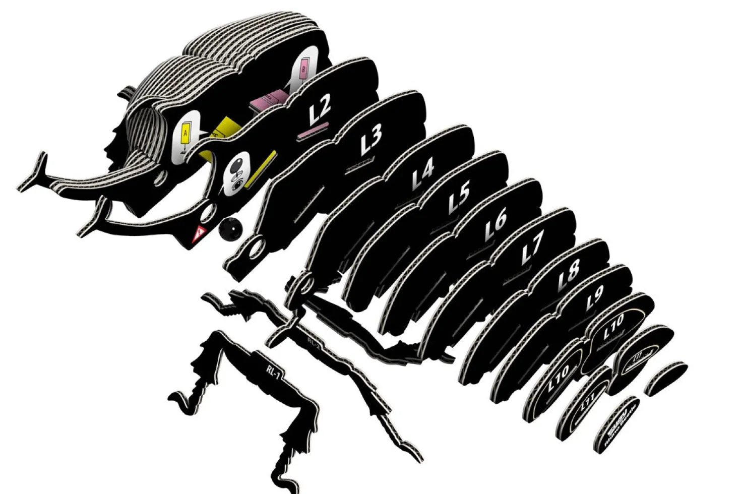 EUGY · Escarabajo Rhino