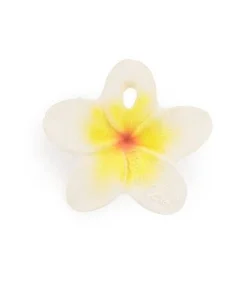 Hawaii The Flower