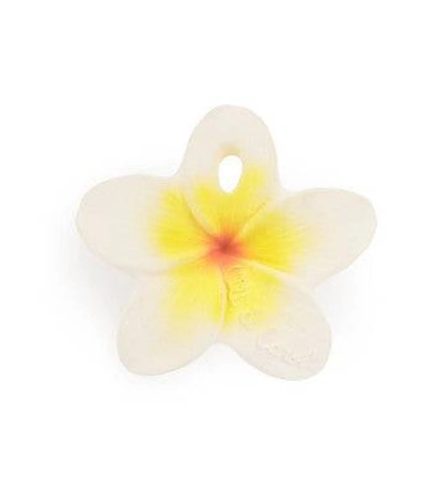 Hawaii The Flower
