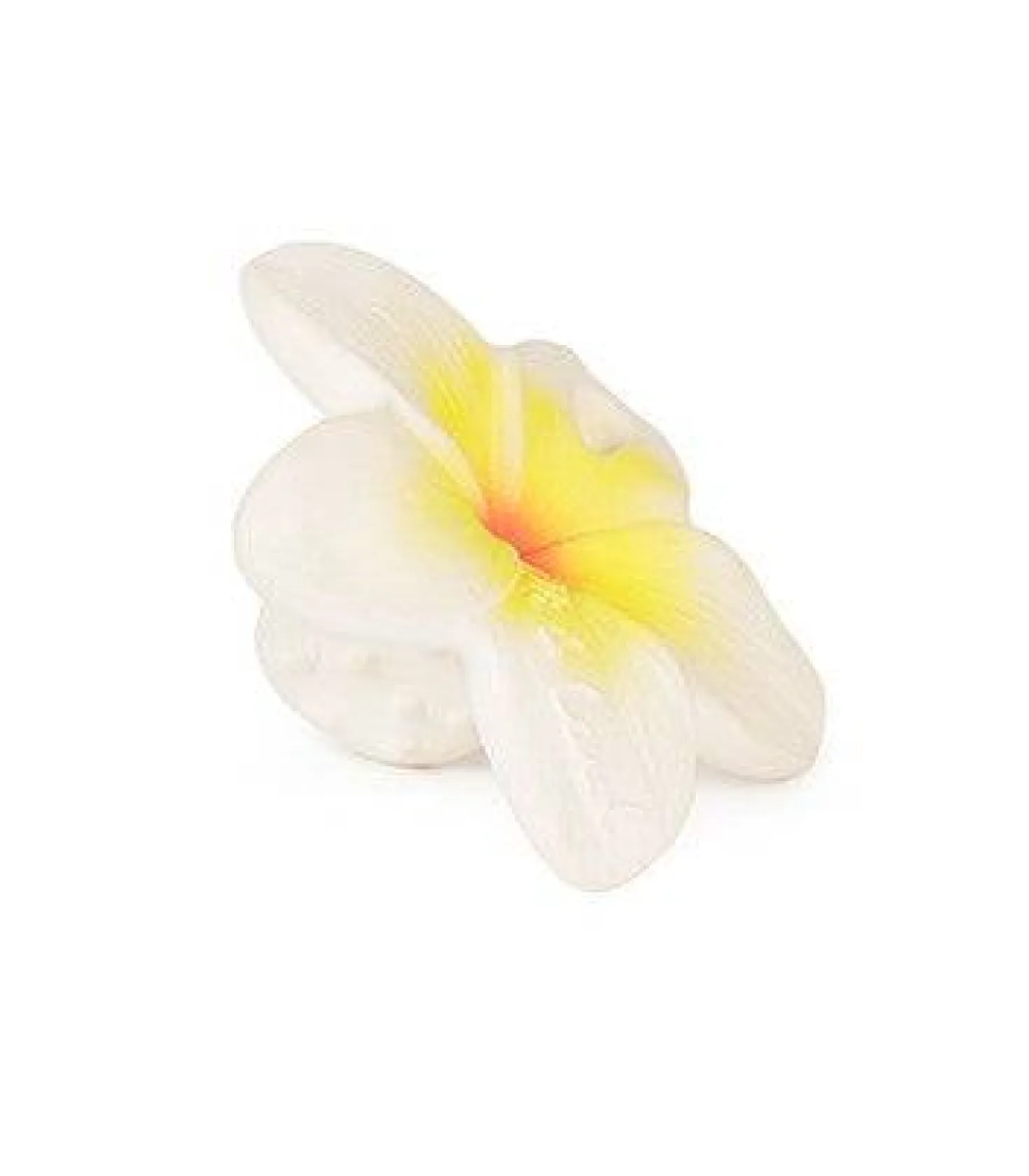 Hawaii The Flower