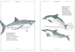 Inventario Ilustrado de Animales