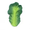 Kendall the Kale