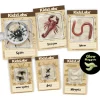 KidzLabs Creepy Lab Insectos · 4M