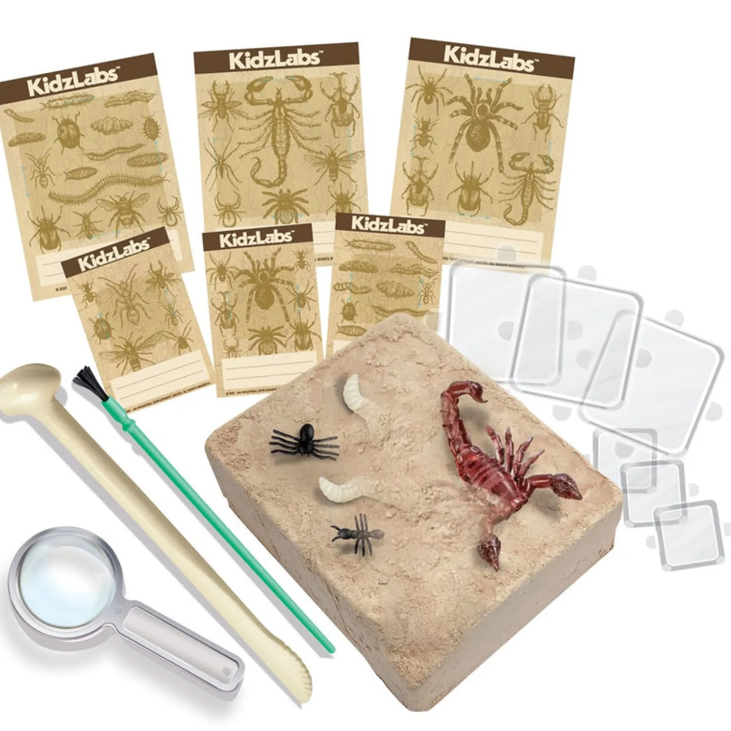 KidzLabs Excavación de Insectos · 4M