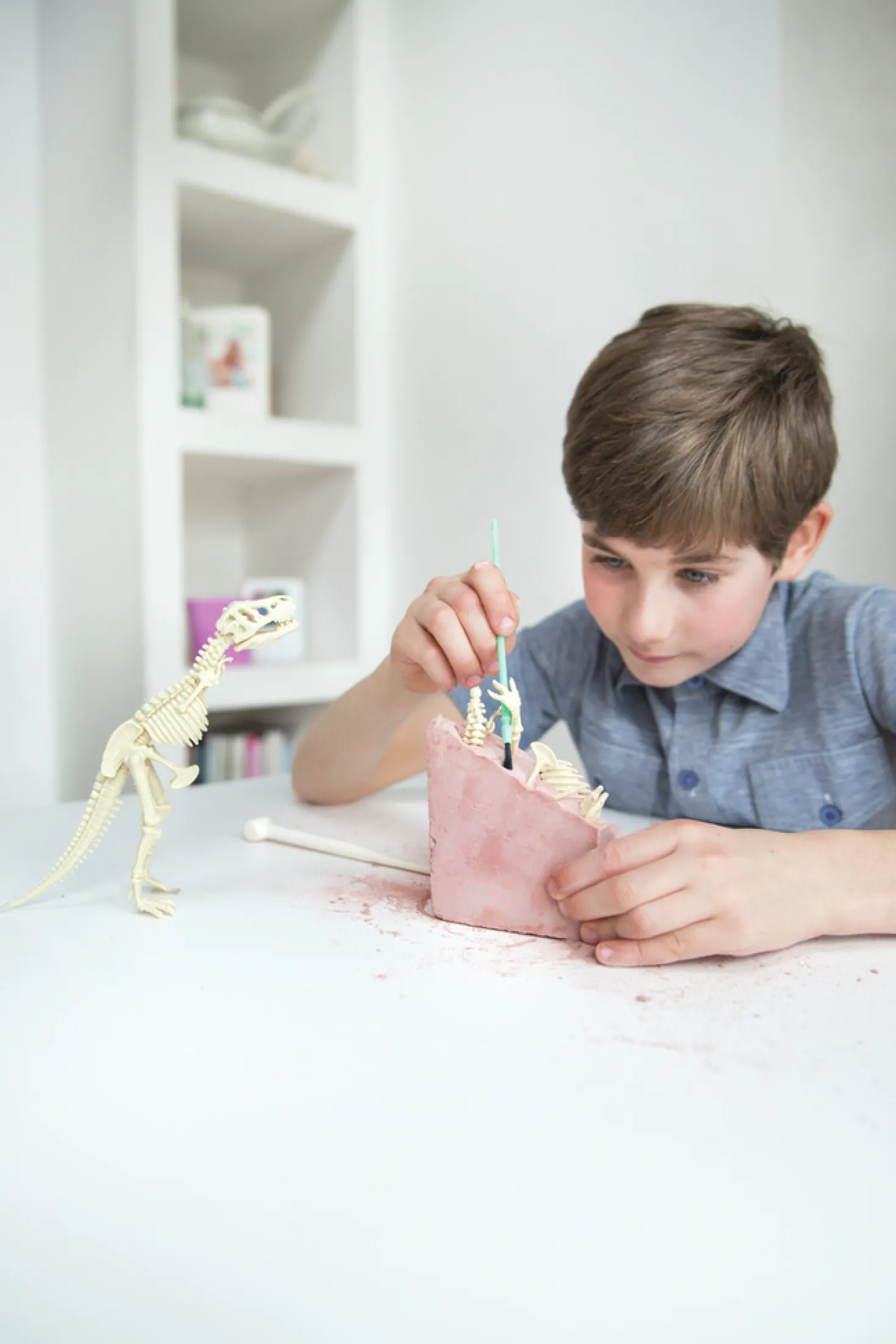 Kidz Labs Kit Geológico de un Brachiosaurus · 4M