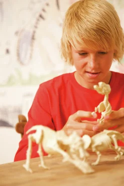 Kidz Labs Kit Geológico de un Triceratops · 4M