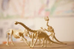 Kidz Labs Kit Geológico de un Tyrannosaurus Rex · 4M