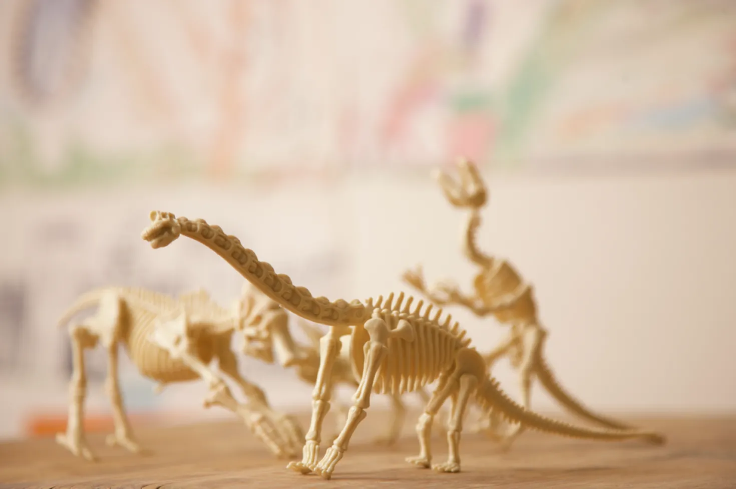 Kidz Labs Kit Geológico de un Tyrannosaurus Rex · 4M