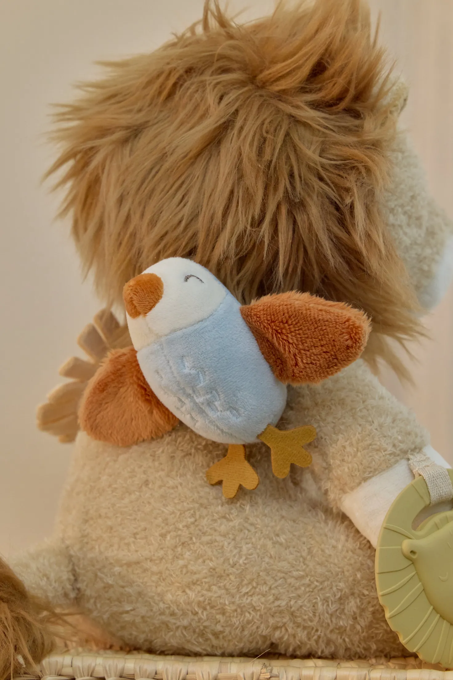 León de actividades Safari Friends · Little Dutch