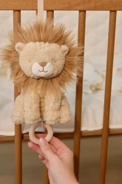 León musical Safari Friends · Little Dutch
