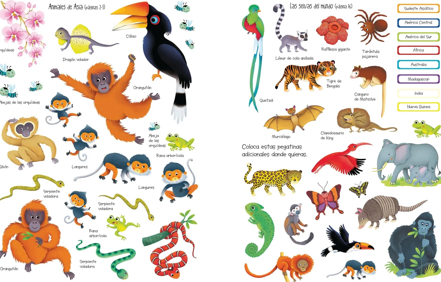 Libro de pegatinas · La Selva