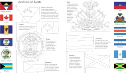Libro Puzzle Banderas del Mundo