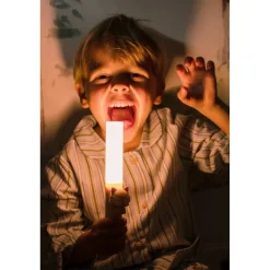 Lámpara Linterna portátil Zoolight · Zoofamily