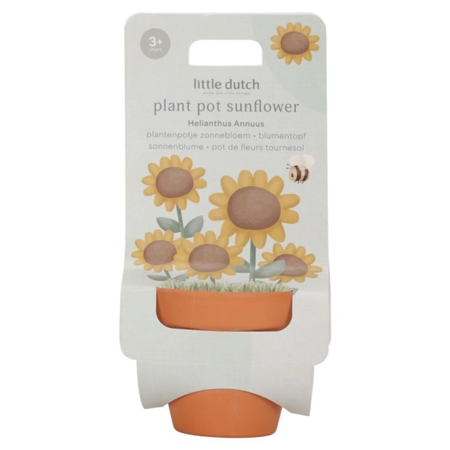 Maceta planta un Girasol · Little Dutch