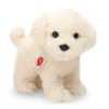 Maltese dog standing 23 cm · Hermann Teddy