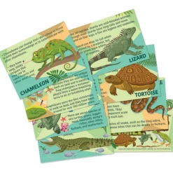 Moldea y Pinta Reptiles y Anfibios · 4M