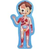 Puzzle Cuerpo Humano · Hape
