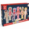 Rompecabezas magnético del cuerpo humano · Hape