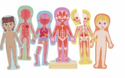 Rompecabezas magnético del cuerpo humano · Hape