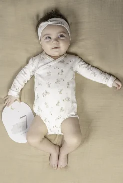 Tarjetas Milestone Baby Bunny · Little Dutch