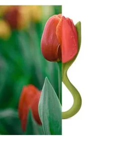 Theo the Tulip